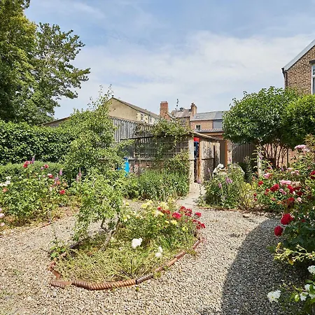 Host & - The Potting Shed